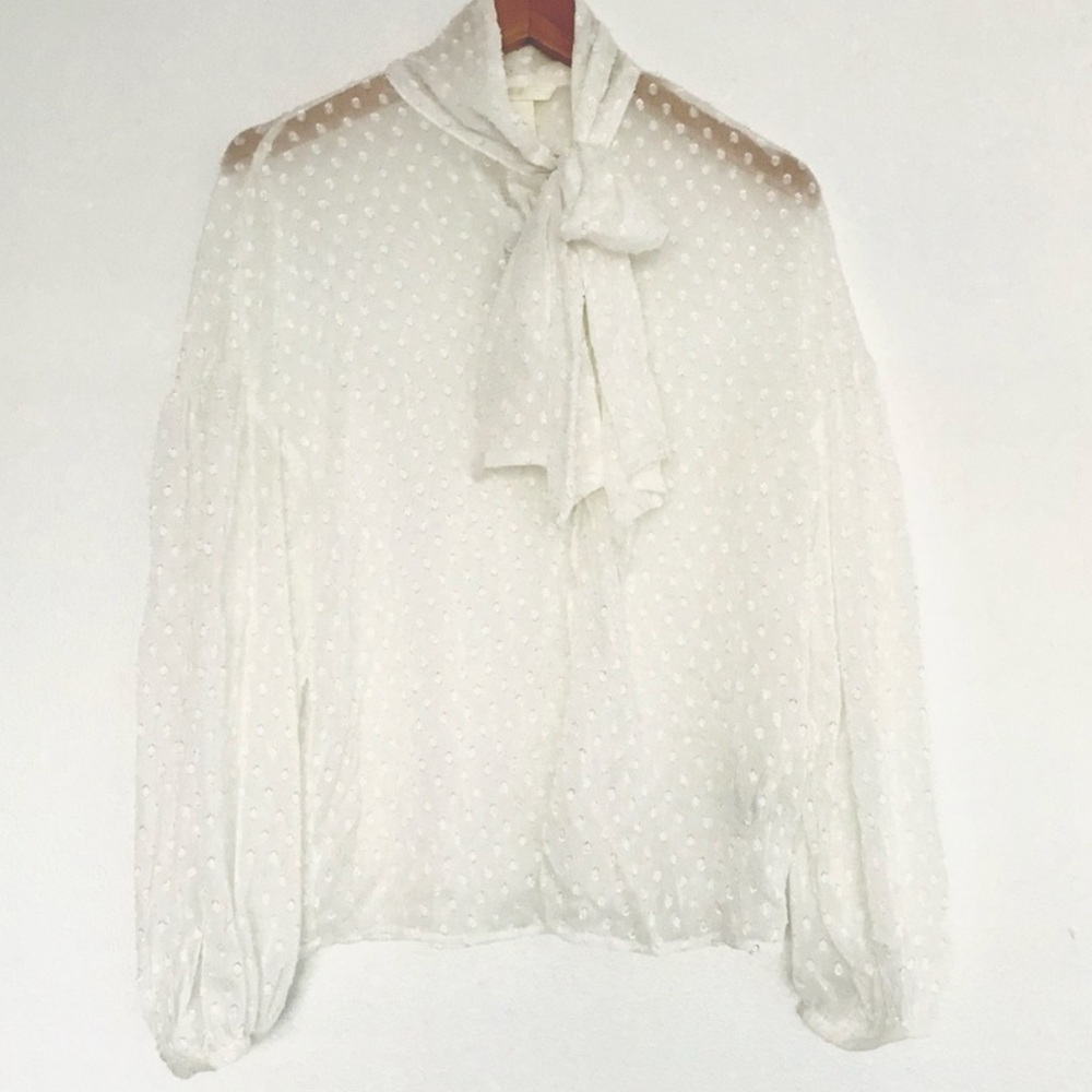New H&M polka dot sheer top (A13)